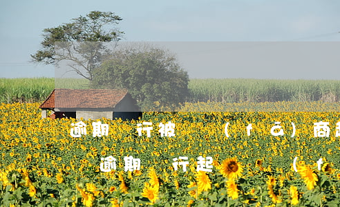 逾期銀行被開發(fā)商起訴解除合同 房貸逾期銀行起訴開發(fā)商