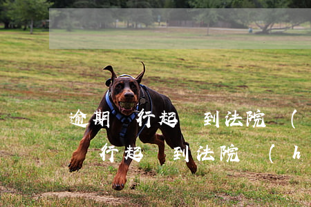 逾期銀行起訴到法院會(huì)多久(逾期銀行起訴到法院會(huì)多久)