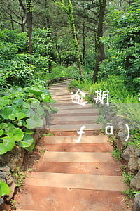 逾期銀行起訴多久立案浦發(fā) 浦發(fā)銀行幾個月會起訴