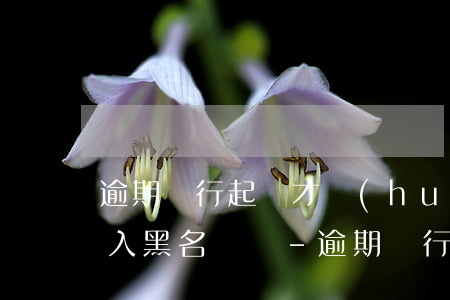 逾期銀行起訴才會(huì)進(jìn)入黑名單嗎-逾期銀行起訴才會(huì)進(jìn)入黑名單嗎知乎