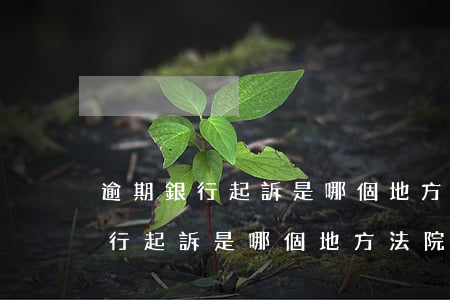 逾期銀行起訴是哪個地方法院立案-逾期銀行起訴是哪個地方法院立案呢