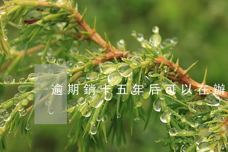 逾期銷卡五年后可以在辦信用卡嗎