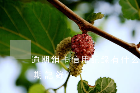 逾期銷卡信用記錄 有什么辦法消除信用卡逾期記錄