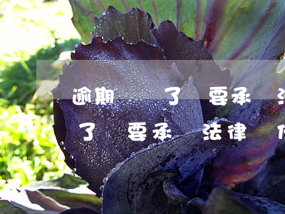 逾期錢還了還要承擔法律責任嗎-逾期錢還了還要承擔法律責任嗎知乎