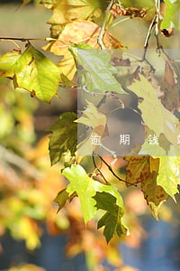 逾期钱站会不会起诉(钱站逾期了立案)