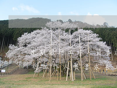 逾期银行工作人员要求去本地银行-逾期银行工作人员要求去本地银行贷款