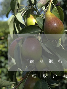 逾期银行账户被法院冻结多久解封-逾期银行账户被法院冻结多久解封啊