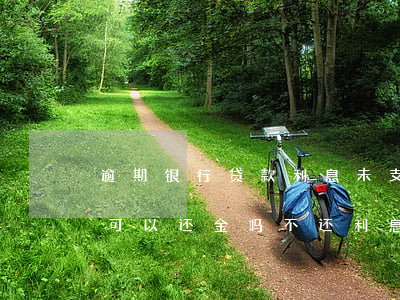 逾期银行贷款利息未支付(银行贷款逾期未还,可以还金吗不还利息吗)