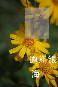 逾期银行起诉流程上海（逾期银行起诉流程上海）