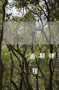 逾期银行起诉流程邮政(银行逾期法院起诉流程)