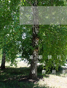 逾期银行起诉费多少-银行逾期多久会被起诉费用多少钱房贷