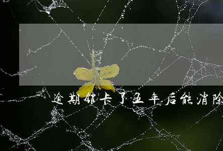 逾期销卡了五年后能消除记录吗-
