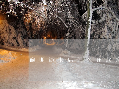 逾期锁卡后怎么还款(逾期锁卡后怎么还款啊)