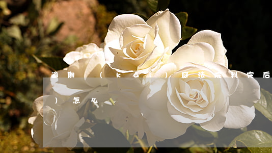 逾期開(kāi)庭法院判完后會(huì)怎么樣