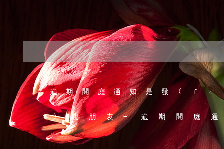 逾期開庭通知是發(fā)我還是發(fā)我朋友-逾期開庭通知短信
