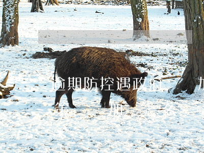 逾期防控遇政府層層加碼哪里投訴-防疫政策層層加碼怎么舉報(bào)