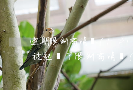 逾期限制高消費(fèi)是什么意思（逾期被起訴了限制高消費(fèi)嗎）