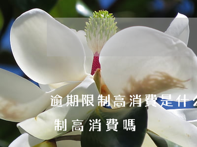 逾期限制高消費是什么意思（逾期被起訴了限制高消費嗎）