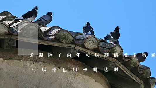 逾期隔了兩年可以辦信用卡嗎(逾期隔了兩年可以辦信用卡嗎貼吧)