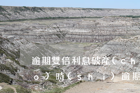 逾期雙倍利息破產(chǎn)申報(bào)時(shí)(逾期雙倍利息破產(chǎn)申報(bào)時(shí))