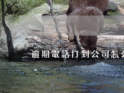 逾期電話打到公司怎么面對(duì)同事-