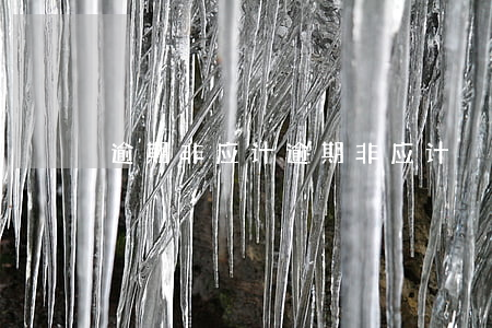 逾期非应计(逾期非应计)