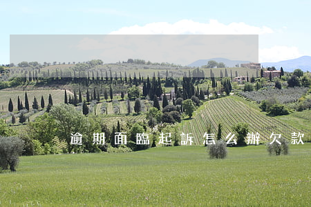 逾期面臨起訴怎么辦(欠款逾期被起訴怎么辦)