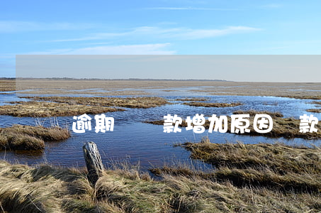 逾期類貸款增加原因(貸款多次逾期有什么影響)