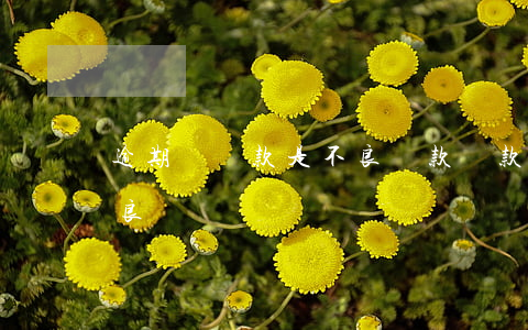 逾期類貸款是不良貸款(貸款逾期多久進入不良)