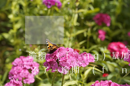 逾期風(fēng)暴加載頁面為什么加載不了-逾期風(fēng)暴加載頁面為什么加載不了了