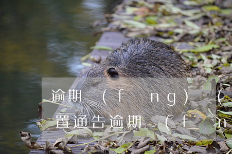 逾期風(fēng)險(xiǎn)壞賬處置通告(逾期風(fēng)險(xiǎn)壞賬處置通告)