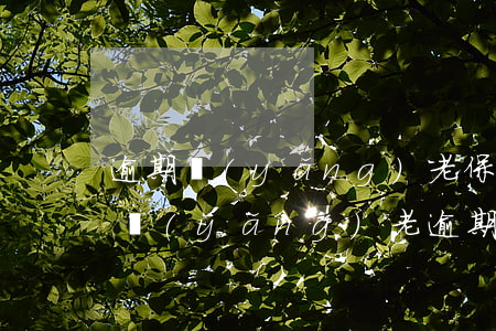 逾期養(yǎng)老保險需要本人么(個人養(yǎng)老逾期怎么辦)