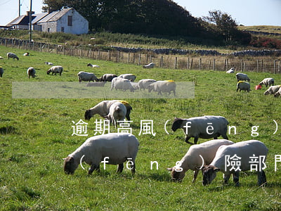 逾期高風(fēng)險部門(逾期移交高風(fēng)險部門)