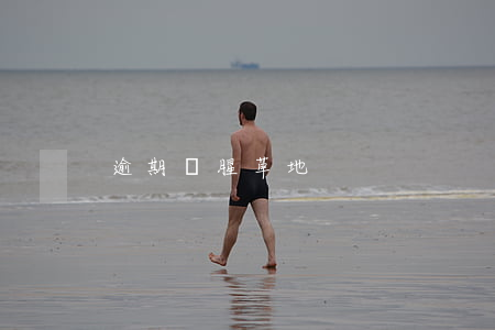 逾期魚腥草地