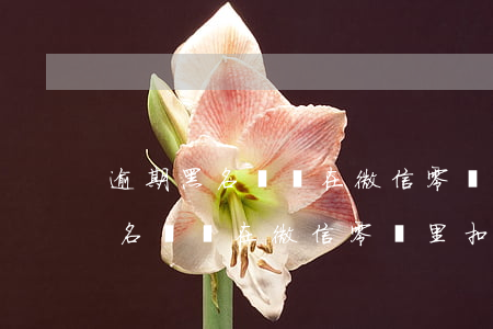 逾期黑名單會在微信零錢里扣錢嗎-逾期黑名單會在微信零錢里扣錢嗎怎么辦
