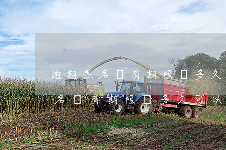 逾期黑名單有期限嗎多久可以消除-逾期黑名單有期限嗎多久可以消除掉