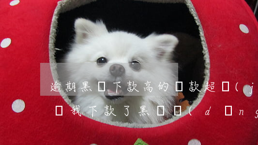 逾期黑戶下款高的貸款(超級(jí)大黑戶給我下款了,黑戶當(dāng)前逾期秒下5萬)