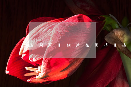逾期黑戶能批信用卡嗎(逾期黑戶能批信用卡嗎)