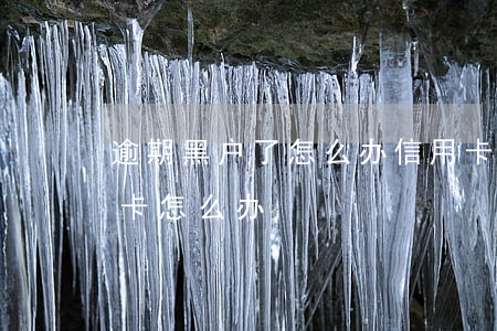 逾期黑户了怎么办信用卡吗(黑户能办的信用卡怎么办)