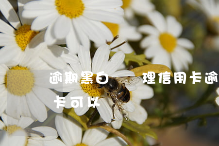 逾期黑白戶辦理信用卡(逾期黑白戶辦理信用卡可以嗎)