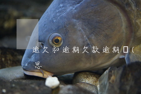 逾欠和逾期(欠款逾期嚴(yán)重是啥意思)