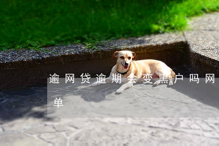 逾网贷逾期会变黑户吗(网贷逾期多久变黑名单)