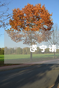 遂宁请律师费用多少钱(遂宁律师电话)