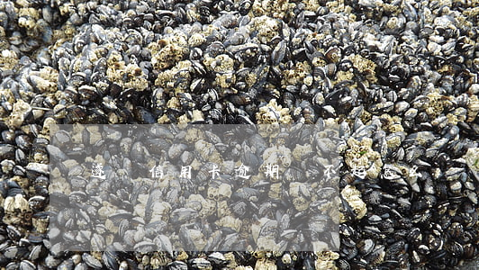 遂寧信用卡逾期還不起怎么辦