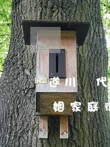 遂川縣代理婚姻家庭律師推薦(遂川縣代理婚姻家庭律師推薦)