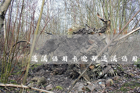 遂溪信用卡逾期(遂溪信用卡逾期上門)