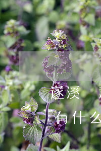 遂溪貸款還不起-貸款還不起會(huì)有什么后果