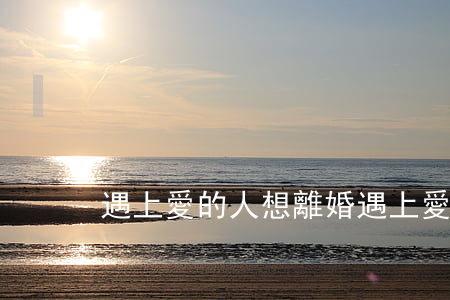 遇上愛的人想離婚(遇上愛的人想離婚)