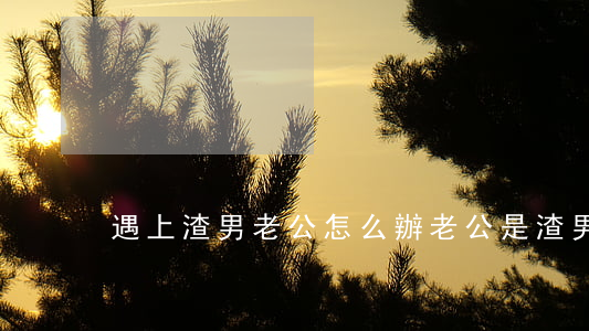 遇上渣男老公怎么辦(老公是渣男怎么對付)