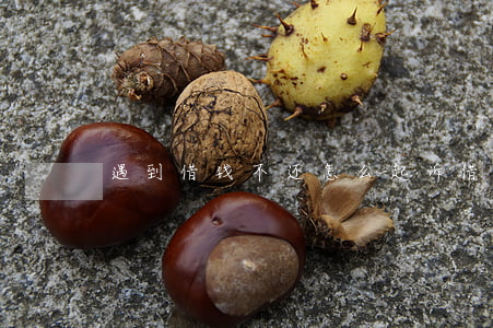 遇到借钱不还怎么起诉(借钱不还,怎么起诉)